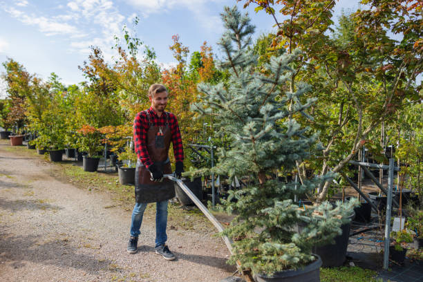 Best Hazardous Tree Removal  in Beaver Dam Lake, NY